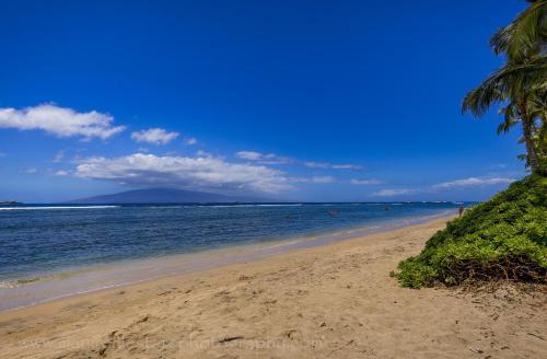 429 Lahaina Shores Oceanfront Studio