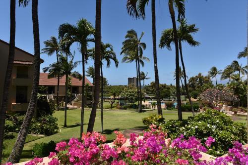 Apartamento Kaanapali Royal Q101 Condo