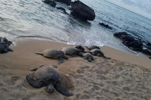 Apartamento Mahina Surf 121