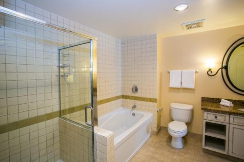 Viera One-bedroom Apartment #513