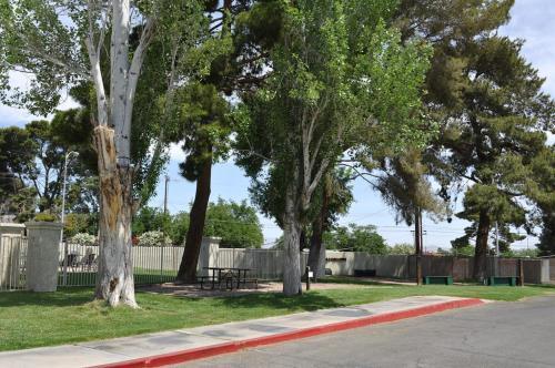 Las Vegas Camping Resort Cabin 1