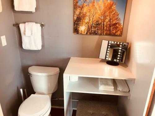 Lodge Tiny House Leadville Colorado
