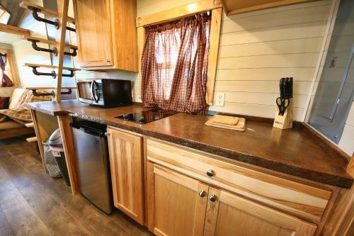 Lodge Tiny House Leadville Colorado