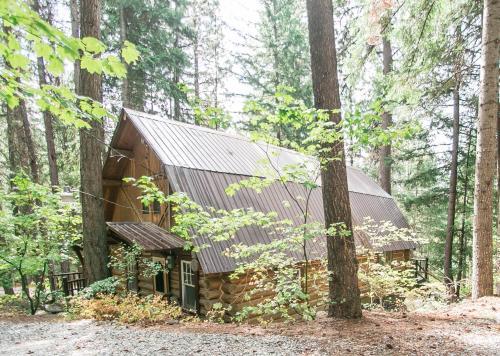 Guten Cabin