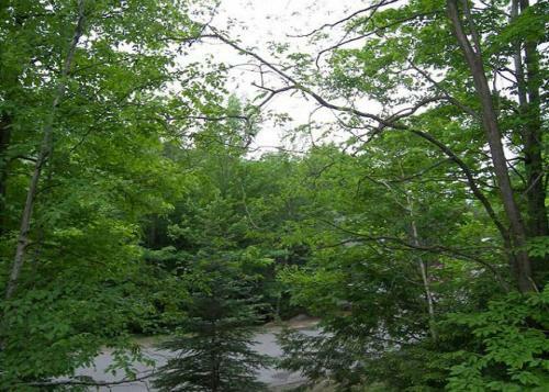 Village Of Loon 21w