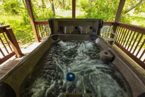 Coyote - Hocking Hills Cabin