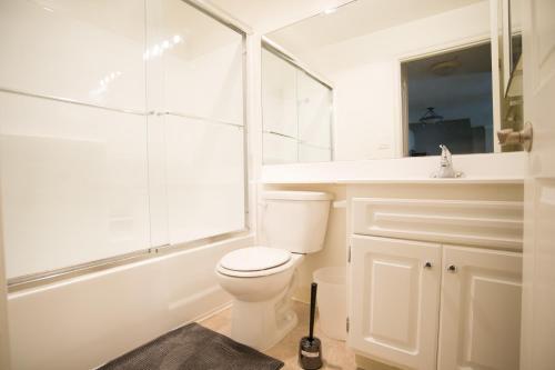 Westwood Apartment 309w