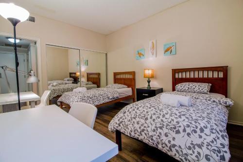 Westwood Apartment 309w