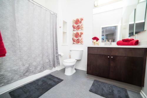 Gorgeous 1 Bedroom Hollywood Apartment