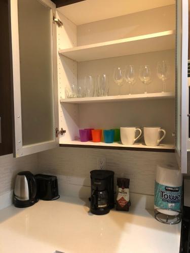 Westwood Apartment 3g84