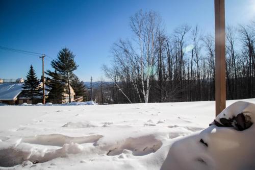 Okemo Trailside 23b, Lower Level