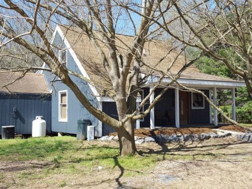 The Jive - Christophers Riverside Cabin 1