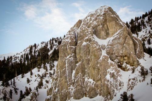 Mountainback 90