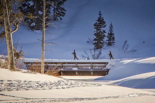 Ski Run Villas 7