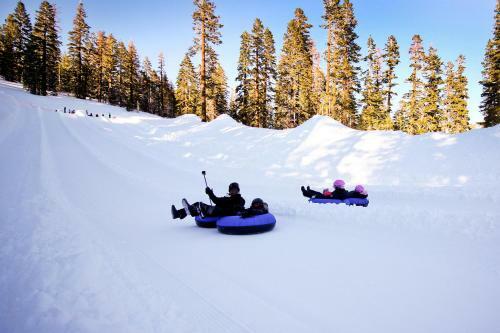 Aspen Creek 229