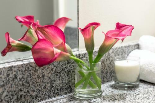 Apartamento Stay Alfred At Chisca