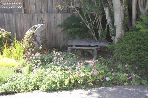 Seagull Inn Bed & Breakfast