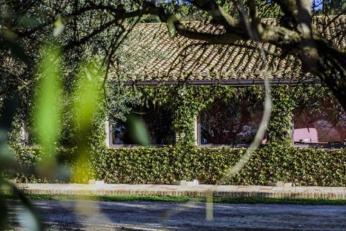 Hotel Agriturismo Savoca