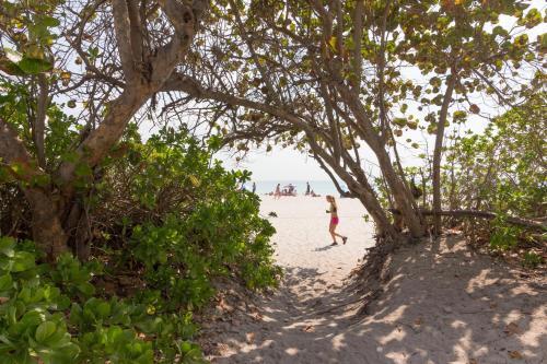 Castle Beach: Treasure Condo
