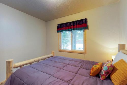Conifer Family Cabin