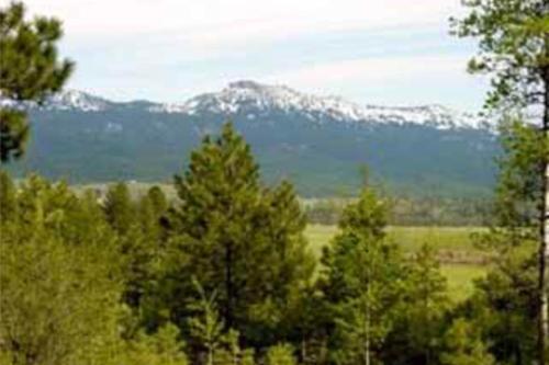 Totorica Cabin