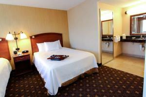 Hotel Hampton Inn & Suites Denver-speeder Blvd Co