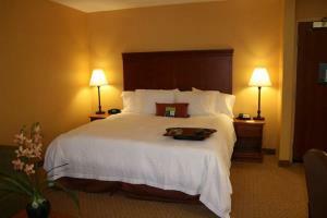 Hotel Hampton Inn & Suites Denver-speeder Blvd Co