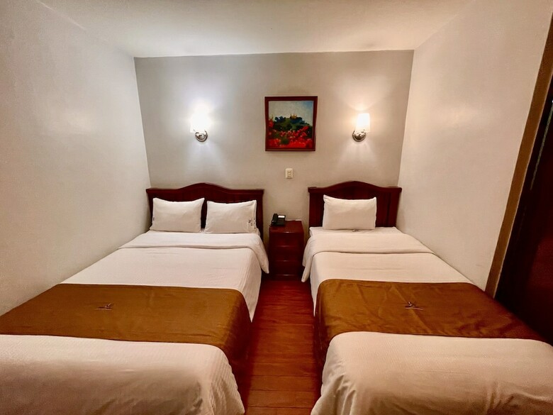 Hotel Puebla Plaza
