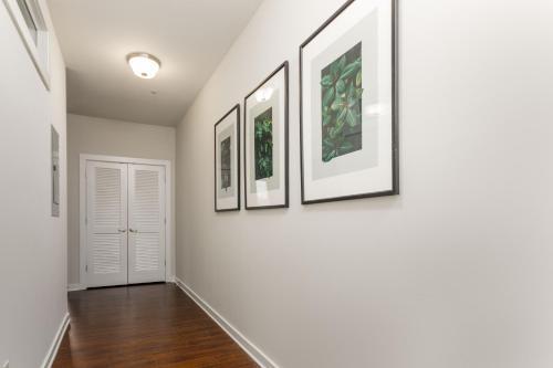 Vanderbilt Area Apartment For Groups