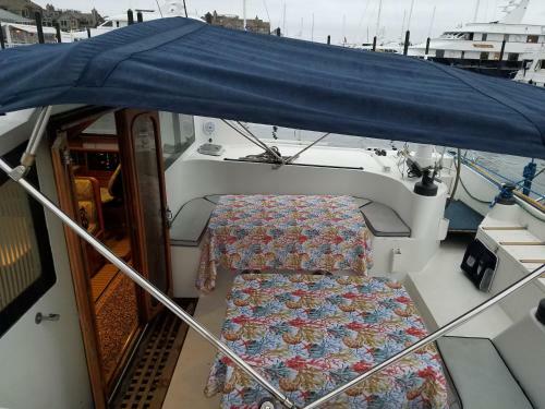 S/v Chaton Mouille'
