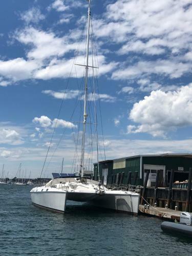 S/v Chaton Mouille'