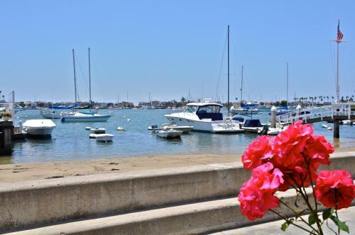 1006 South Bayfront 4 Bedroom Home