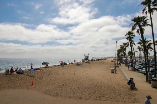 Beachnuts