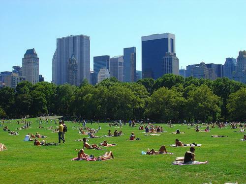 Apartamento Sweet Home- Midtown