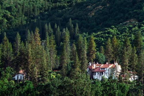 Hotel Ch�teau Du Sureau