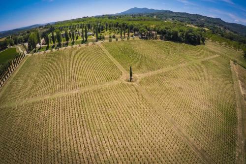 Agriturismo La Sovana