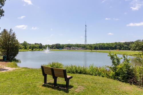 Bayview Beauty