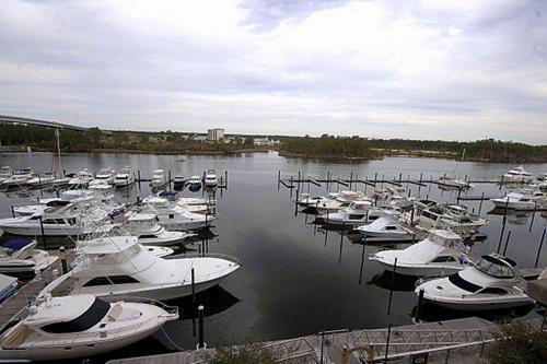Wharf 411 Apartment