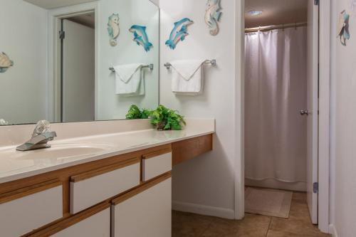 Apartamento Phoenix VII #1009