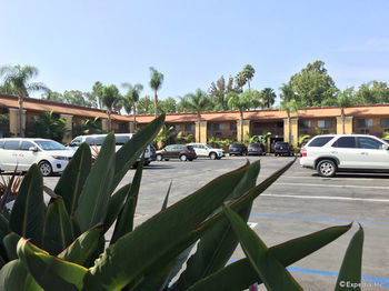 Hotel Comfort Inn Maingate