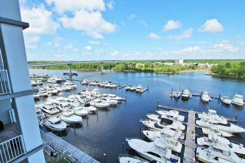 Wharf 707 Apartment