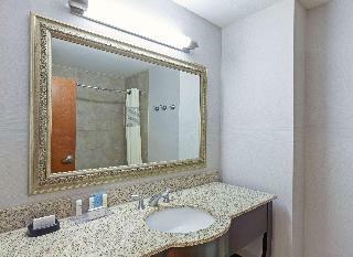 Hotel Hampton Inn & Suites Houston-westchase Tx