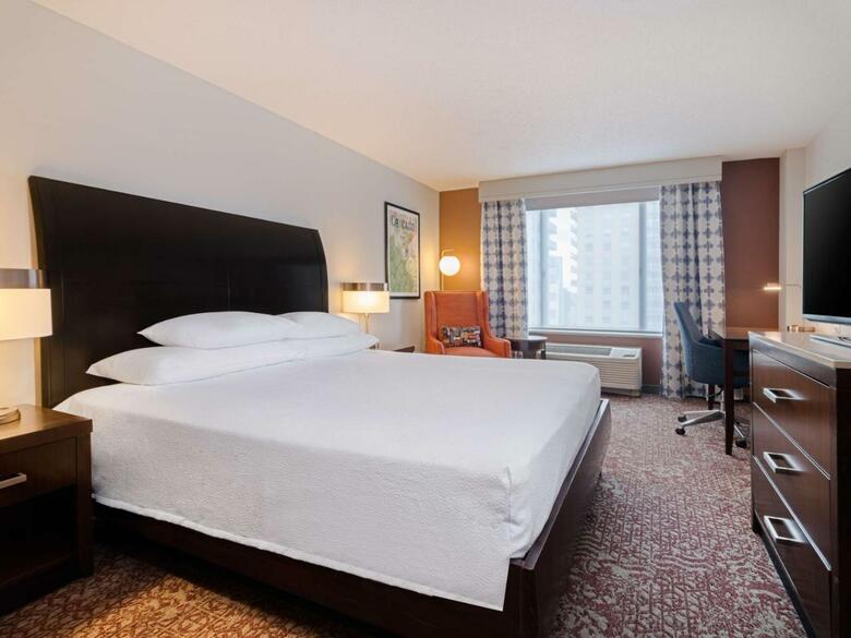 Hotel Hilton Garden Inn Chicago Downtown