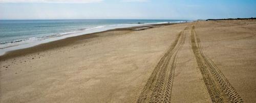 Nauset Beach Dream