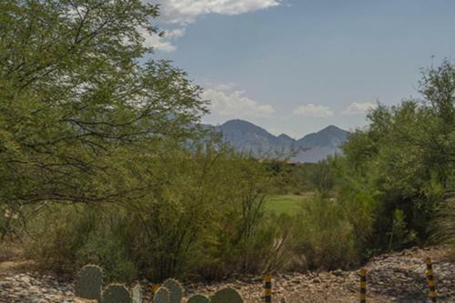 Rancho Vistoso #113b