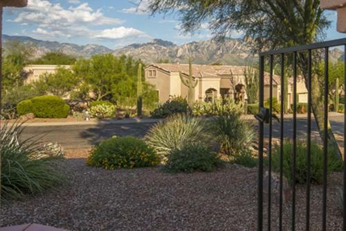 Oro Valley #12083