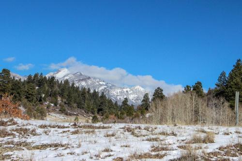 Moose Creek Retreat
