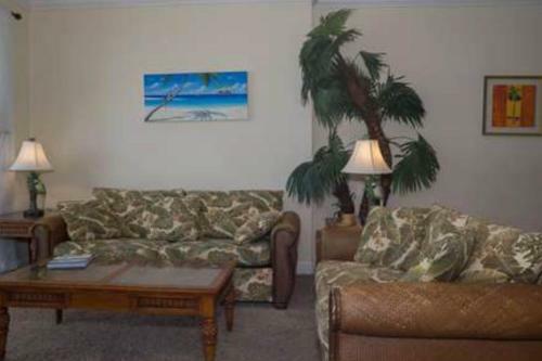 Apartamento Banana Wind