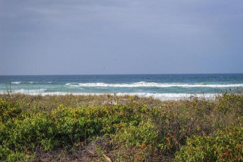 Endless Summer Condos