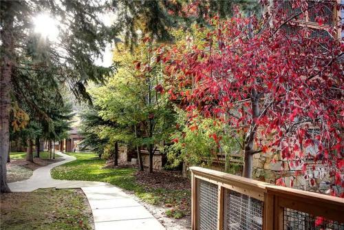 Apartamento Park Station 247-1